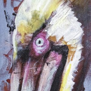 Pelican painting